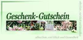 Massage Chemnitz/Grüna