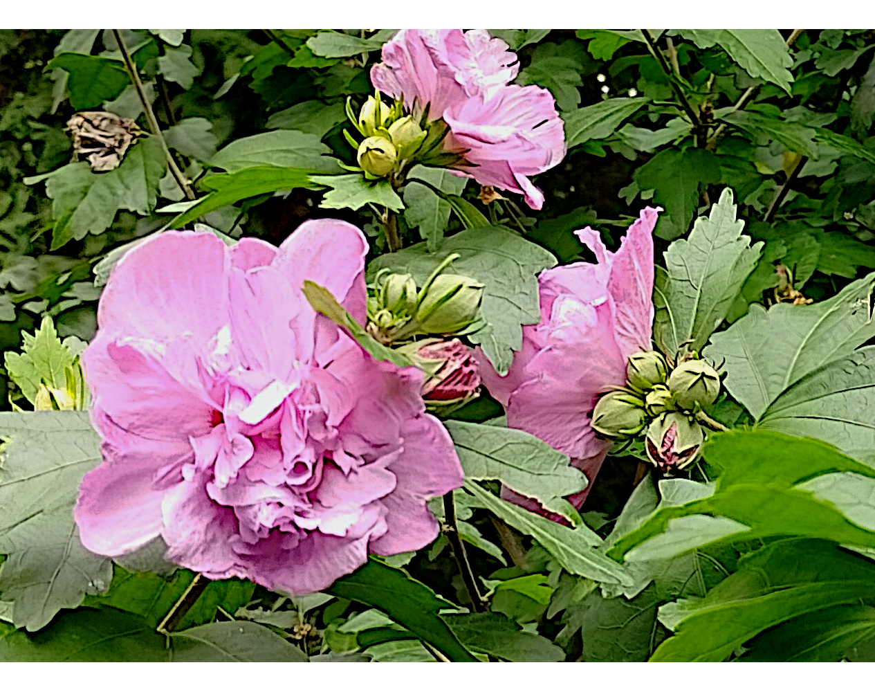 kein Bild regal marma-Massage Chemnitz